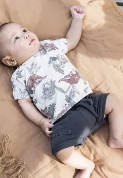 Футболка с принтом MENDOTA Noppies, цвет oatmeal