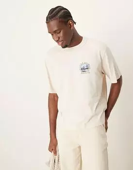 Футболка с принтом на спине National Parks Mount Rainer в лунном свете Abercrombie & Fitch