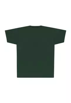 Футболка с принтом Nintendo Legend Of Zelda Icons Henry Tiger, темно-зеленый