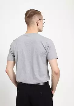 Футболка с принтом PARK FIELDS GEORGE WASHINGTON UNIVERSITY GW Henry Tiger, светло-серый