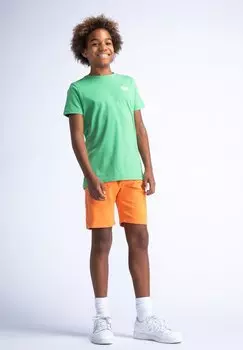 Футболка с принтом Petrol Industries, цвет grass