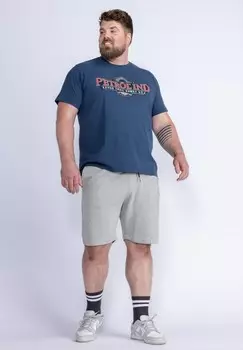 Футболка с принтом Petrol Industries, синий