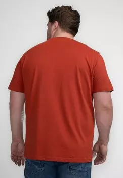 Футболка с принтом Petrol Industries, светло-красный