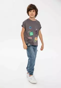 Футболка с принтом PRINTED SHORT SLEEVE MINOTI, цвет grey