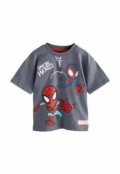 Футболка с принтом REGULAR FIT - SPIDER-MAN SHORT SLEEVE Next, серый