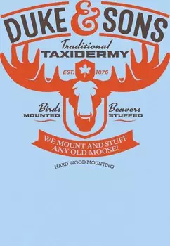 Футболка с принтом ROCKY MOUNTAINS Henry Tiger, светло-голубой