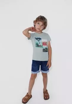 Футболка с принтом SAVANNAH Canada House, зеленый