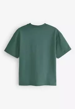 Футболка с принтом SHORT SLEEVE GRAPHIC STANDARD Next, зеленый