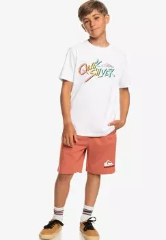 Футболка с принтом SIGNATURE MOVE SS YTH Quiksilver, белый
