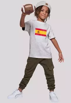 Футболка с принтом SPAIN FLAGGE DISTRESSED F4NT4STIC, цвет heather grey