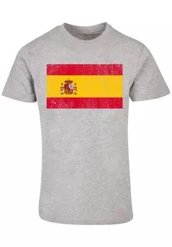 Футболка с принтом SPANIEN FLAGGE SPAIN DISTRESSED F4NT4STIC, серый