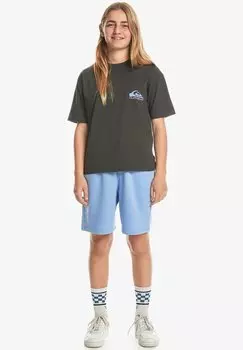 Футболка с принтом TAKE US BACK LOGO Quiksilver, цвет tarmac