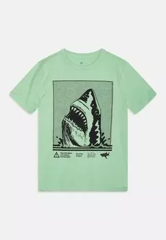 Футболка с принтом VALUE BOYS GAP, цвет meadow green