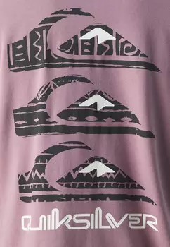 Футболка с принтом VERTICAL LOGOS TEE UNISEX Quiksilver, синий