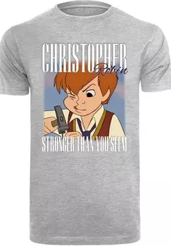 Футболка с принтом WINNIE PUUH DER BR CHRISTOPHER ROBIN MONTAGE F4NT4STIC, серый