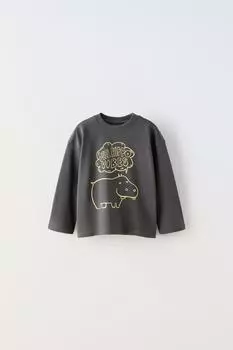 Футболка с принтом ZARA, антрацитовый серый