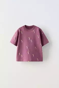 Футболка с принтом ZARA, цвет aubergine