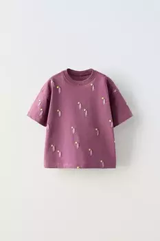 Футболка с принтом ZARA, цвет aubergine