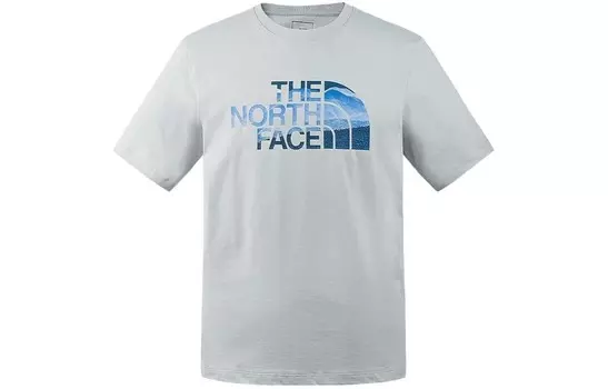 Футболка с принтом «Земля» унисекс серая The North Face, серый