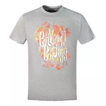 Футболка с ярким логотипом серая Cavalli Class, серый