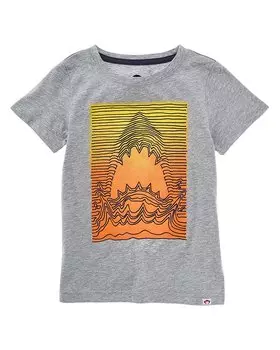 Футболка с рисунком Appaman, серый