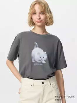 Футболка с рисунком cat photographs ut Uniqlo, цвет 07 серый