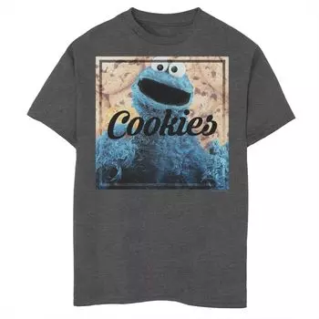 Футболка с рисунком Cookie Monster для мальчиков 8–20 лет Licensed Character