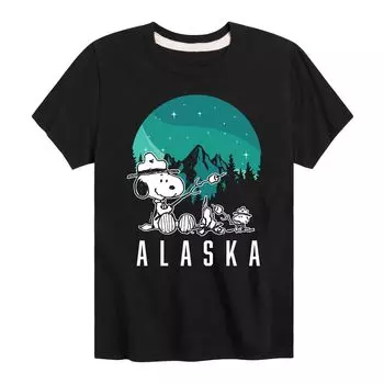 Футболка с рисунком для кемпинга Peanuts Alaska для мальчиков 8–20 лет Licensed Character, черный