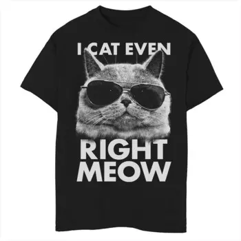 Футболка с рисунком Fifth Sun Right Meow Cat Shades для мальчиков 8–20 лет, черный