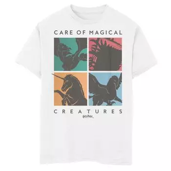 Футболка с рисунком «Гарри Поттер: Уход за волшебными существами» для мальчиков 8–20 лет Harry Potter