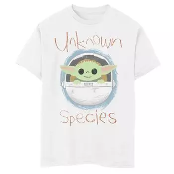 Футболка с рисунком и эскизом «Мандалорец» для мальчиков 8–20 лет, он же Малыш Йода Star Wars