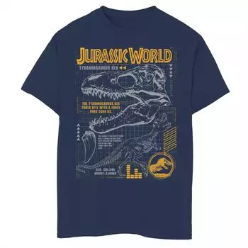 Футболка с рисунком Jurassic World Rex Breakdown для мальчиков 8–20 лет Licensed Character