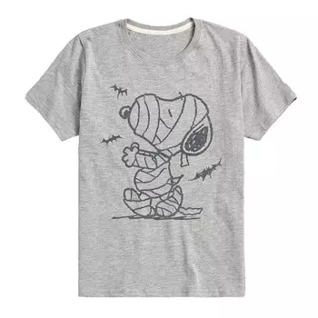 Футболка с рисунком Peanuts Snoopy Mummy and Bats для мальчиков 8–20 лет Licensed Character, цвет Heather Gray