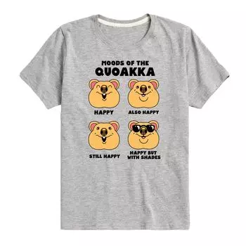 Футболка с рисунком Quokka для мальчиков 8–20 лет Licensed Character, серый