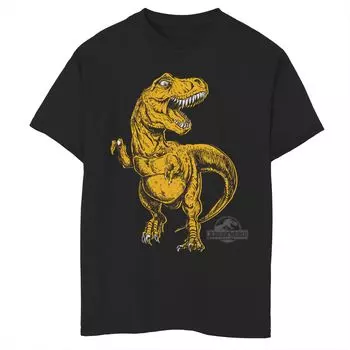 Футболка с рисунком рекса для мальчиков 8–20 лет Jurassic World Licensed Character