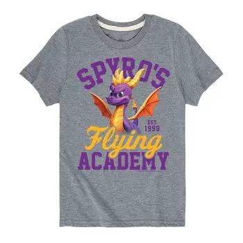 Футболка с рисунком Spyro Flying Academy для мальчиков 8–20 лет Licensed Character, серый