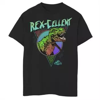 Футболка с рисунком в стиле ретро для мальчиков 8–20 лет Jurassic World Rex-Cellent Licensed Character
