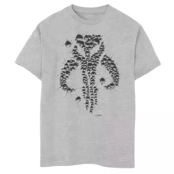 Футболка с рисунком «Звездные войны, мифозавр, мифозавр», для мальчиков 8–20 лет Star Wars