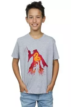 Футболка с силуэтом Дамблдора Harry Potter, серый