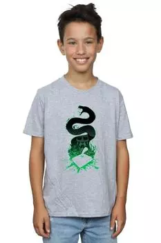 Футболка с силуэтом Нагини Harry Potter, серый