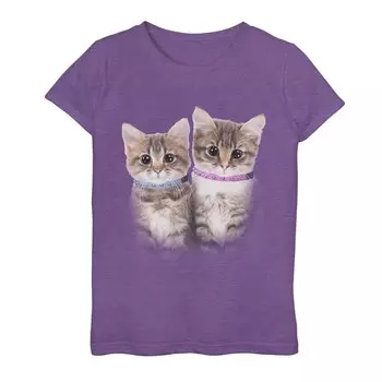 Футболка с синим и розовым воротником для девочек 7–16 лет Cute Kittens с рисунком Licensed Character, цвет Purple Heather