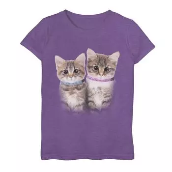 Футболка с синим и розовым воротником для девочек 7–16 лет Cute Kittens с рисунком Licensed Character