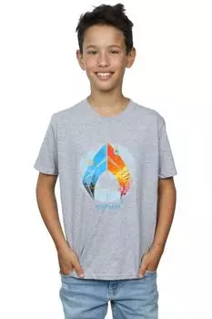 Футболка с тропическим логотипом Aquaman DC Comics, серый