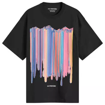 Футболка с зеркальным принтом And Wander, черный