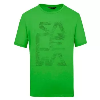 Футболка Salewa Print, зеленый