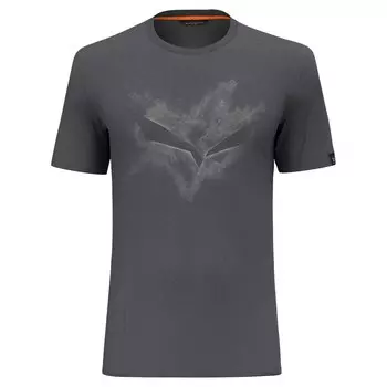 Футболка Salewa Pure Chalk Dry, серый