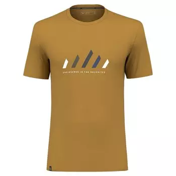 Футболка Salewa Pure Stripes Dry, желтый