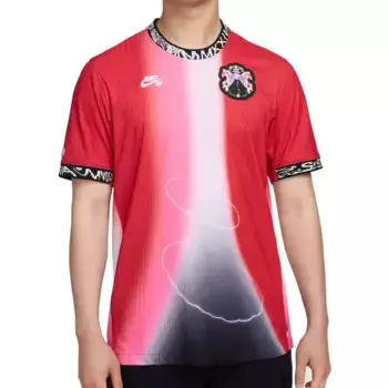 Футболка sb dri fit adv с коротким рукавом Nike, красный