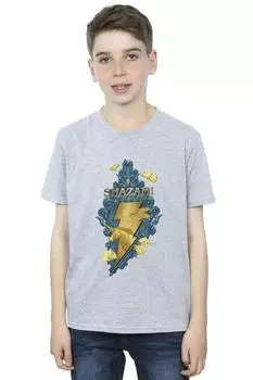 Футболка Shazam Fury Of The Gods Golden Animal Bolt DC Comics, серый