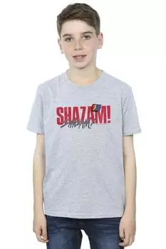 Футболка Shazam Fury Of The Gods Pride Distress DC Comics, серый
